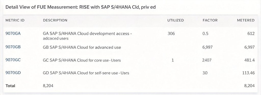 SAP PCE 许可政策与原则