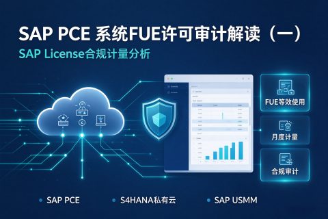 SAP PCE 系统FUE许可审计解读（一）