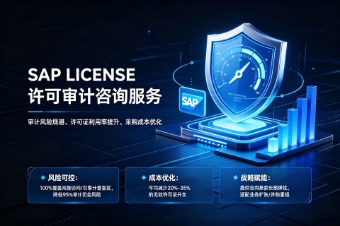 SAP LICENSE 许可审计咨询服务