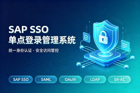 SAP SSO 单点登录管理系统