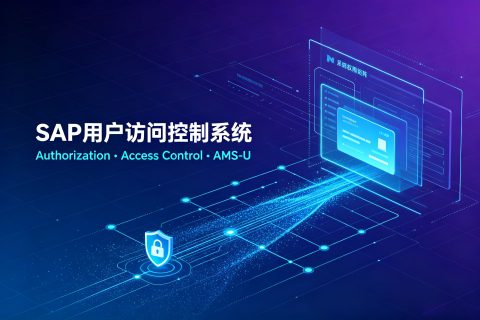 SAP 用户访问控制系统