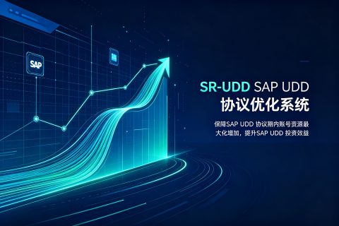 SR-UDD SAP UDD 协议优化系统