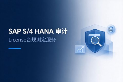 SAP S/4 HANA 审计