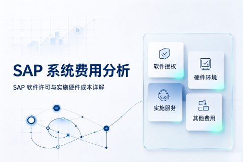 SAP 软件许可与实施硬件成本详解