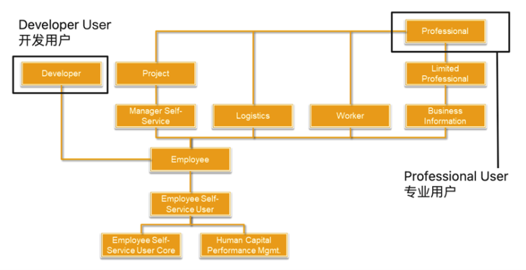 SAP S/4 HANA OP本地部署版本 License 解读 图3