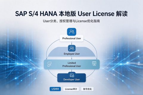SAP S/4 HANA 本地版 User License 解读