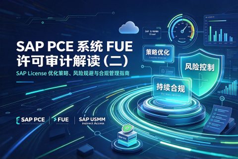 SAP PCE 系统 FUE 许可审计解读（二）