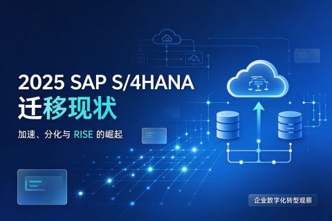 2025年 SAP S/4HANA 迁移现状：加速、分化与 RISE 的崛起