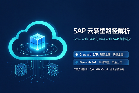 SAP 云转型路径解析：Grow with SAP 与 Rise with SAP 如何选？