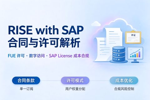 RISE with SAP 合同与许可解析