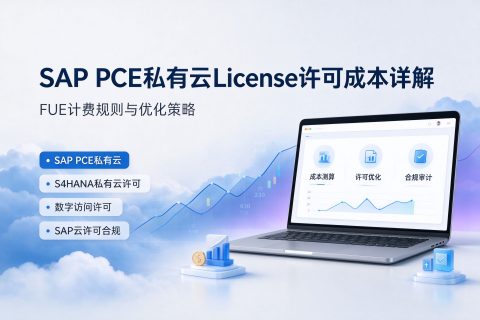 SAP PCE 私有云 License 许可成本详解