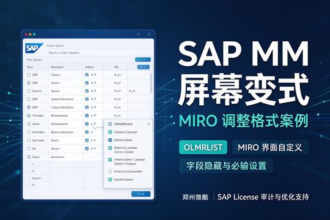SAP MM 屏幕变式-案例MIRO调整格式