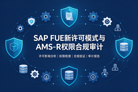 SAP的FUE新许可模式与AMS-R的权限合规审计 图1