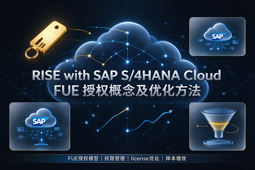 RISE with SAP S/4HANA Cloud FUE 授权概念及优化方法 图1