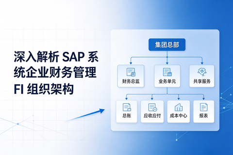 深入解析 SAP 系统企业财务管理 FI 组织架构