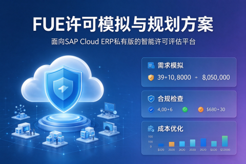 模拟和规划 SAP Cloud ERP私有版 FUE 许可的方法