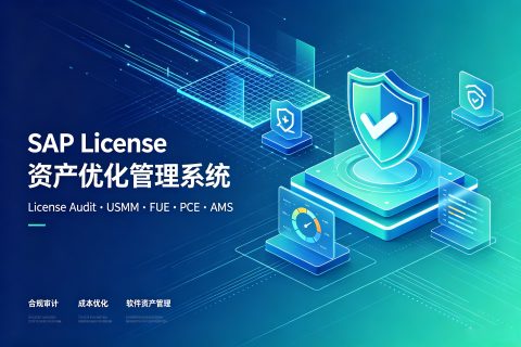 SAP License 资产优化管理系统