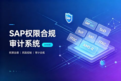 SAP 权限合规审计系统