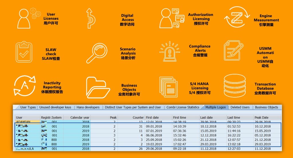 SAP 许可证分析管理系统