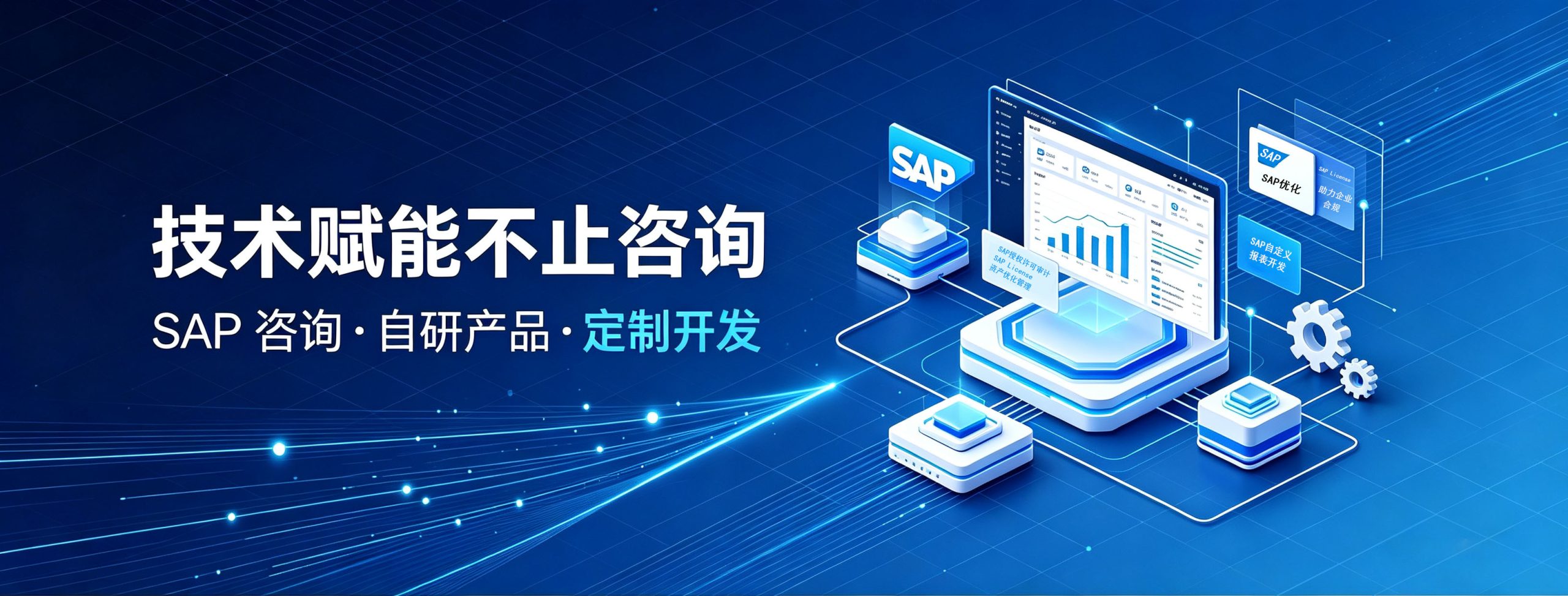 深耕 SAP 优化，自研产品加持，定制方案成就数智转型