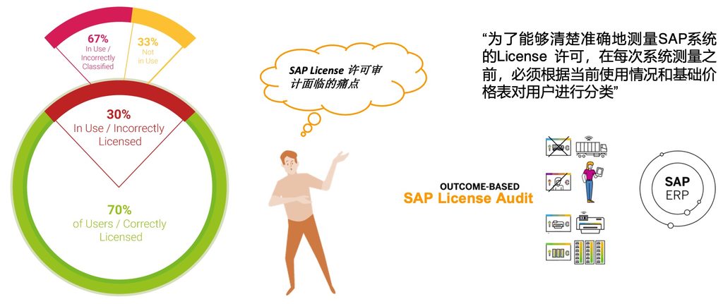 SAP LICENSE 许可审计咨询服务