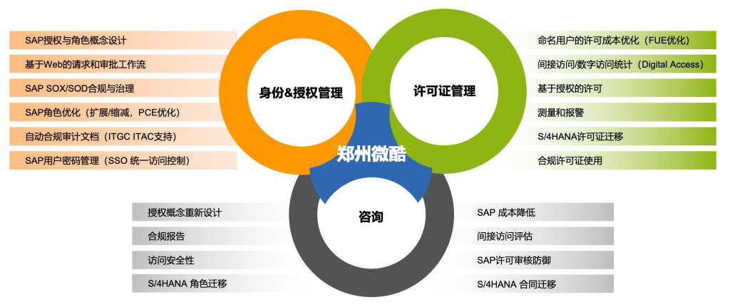 SAP ERP 账号权限合规治理解决方案