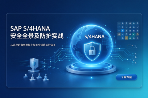 SAP S/4HANA 安全全景及防护实战