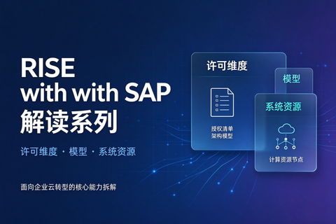 RISE with SAP 解读系列：许可维度、模型，系统资源