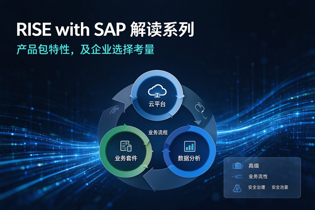 RISE with SAP 解读系列:产品包特性,及企业选择考量 图0