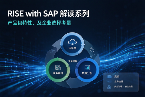RISE with SAP 解读系列：产品包特性，及企业选择考量
