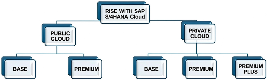 RISE with SAP 解读系列:产品包特性,及企业选择考量 图1